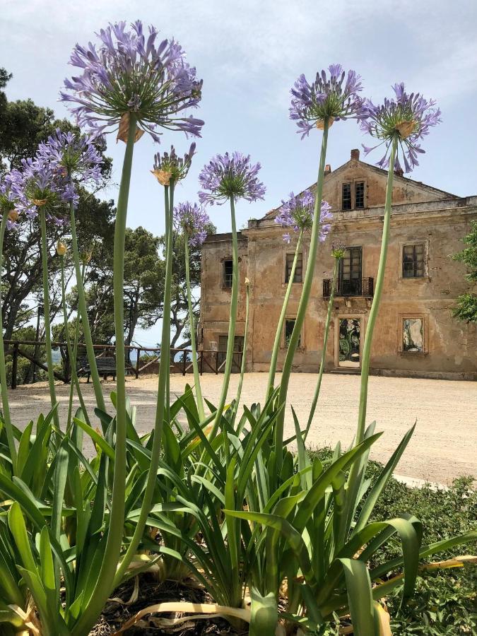 Aragonite Azzurra Casa Vacanza Gonnesa Dış mekan fotoğraf